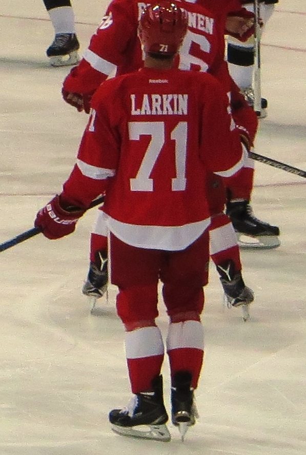 Dylan Larkin seen from behind on the ice, in the Red Wings' red jersey with LARKIN and No. 71 across the back.